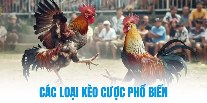 Các loại kèo cược phổ biến